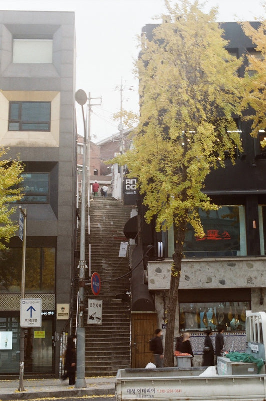 A Journey into Seoul's Eclectic Neighborhood
